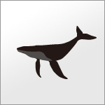 鯨（クジラ）のシルエットイラスト無料素材eps形式